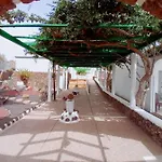 La Arena *